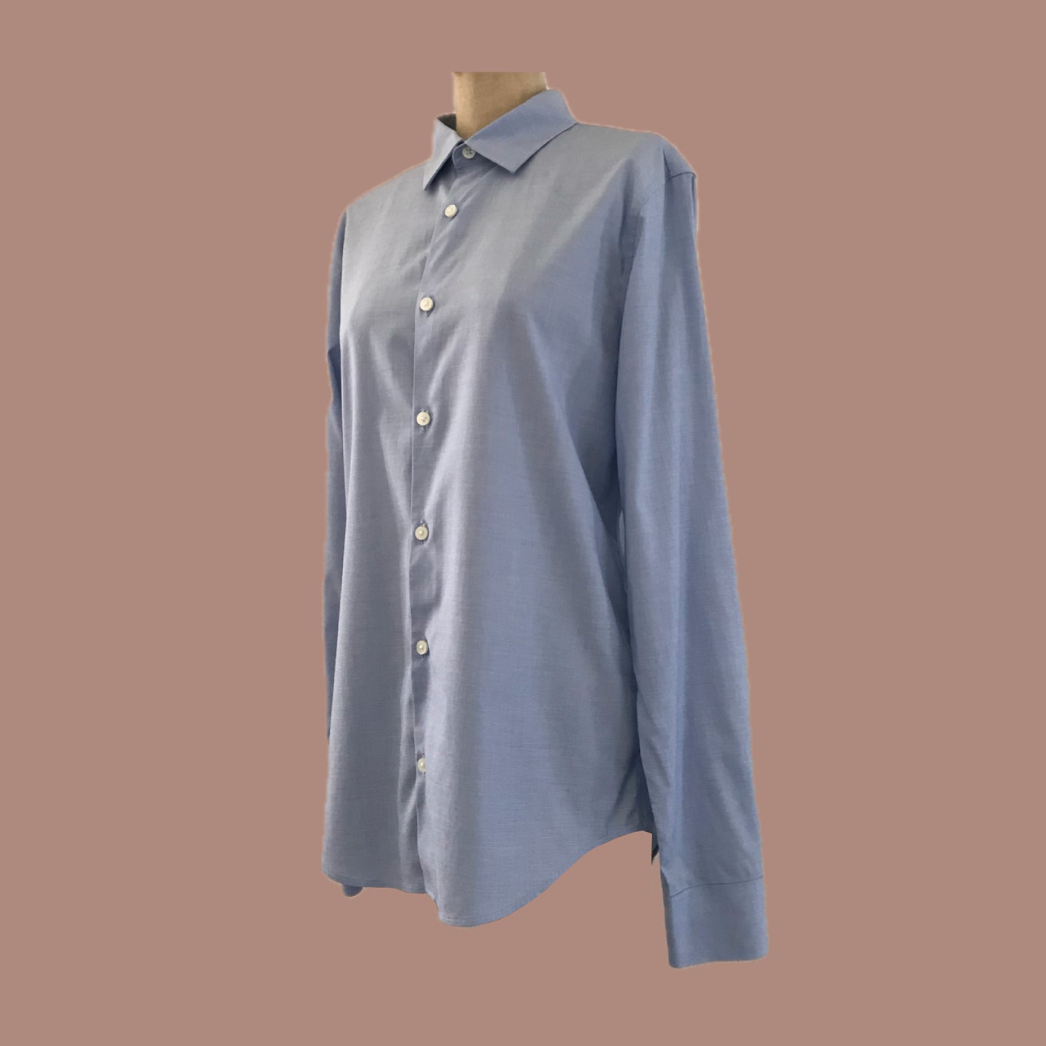 everlane-blue-cotton-poplin-boyfriend-shirt
