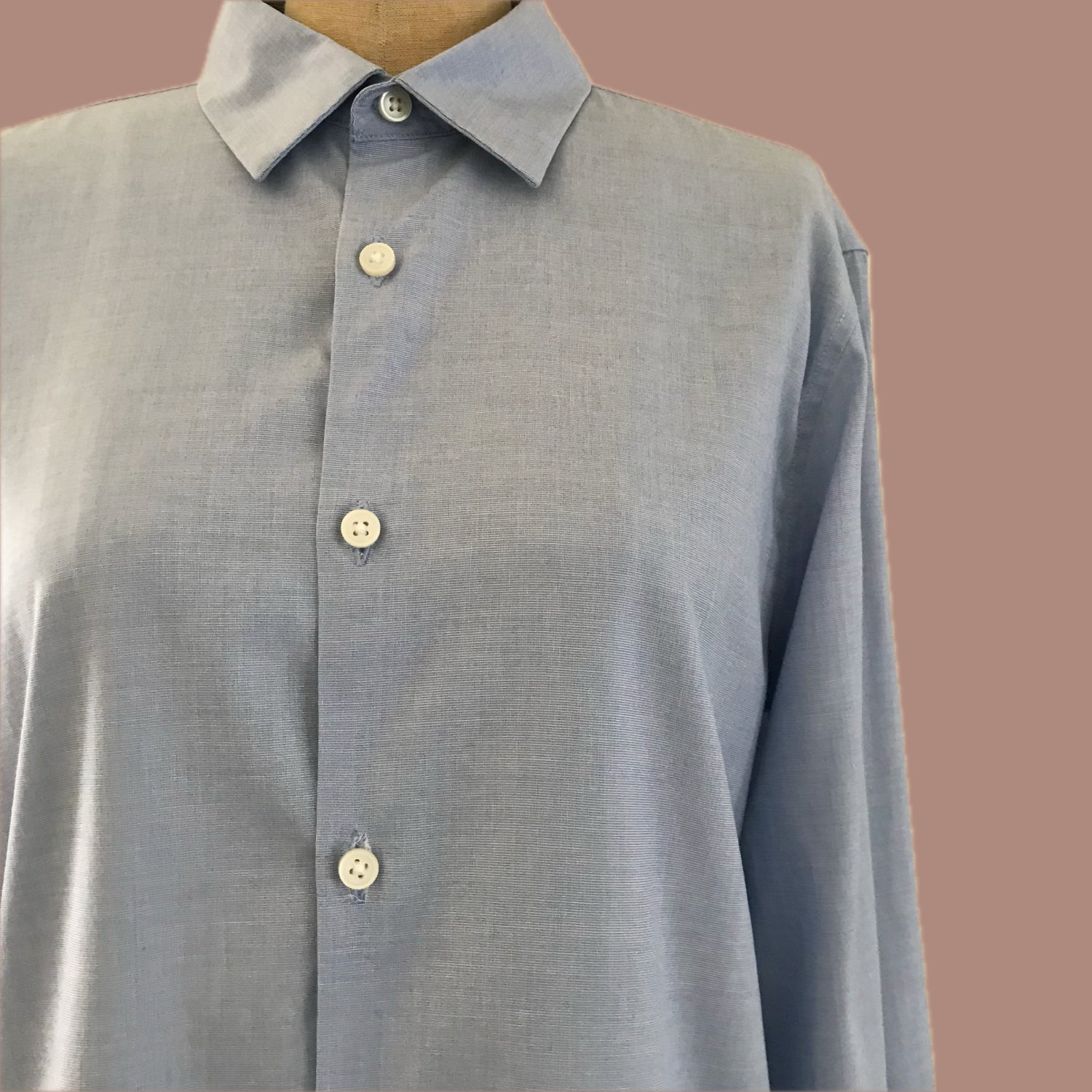 everlane-blue-cotton-poplin-boyfriend-shirt