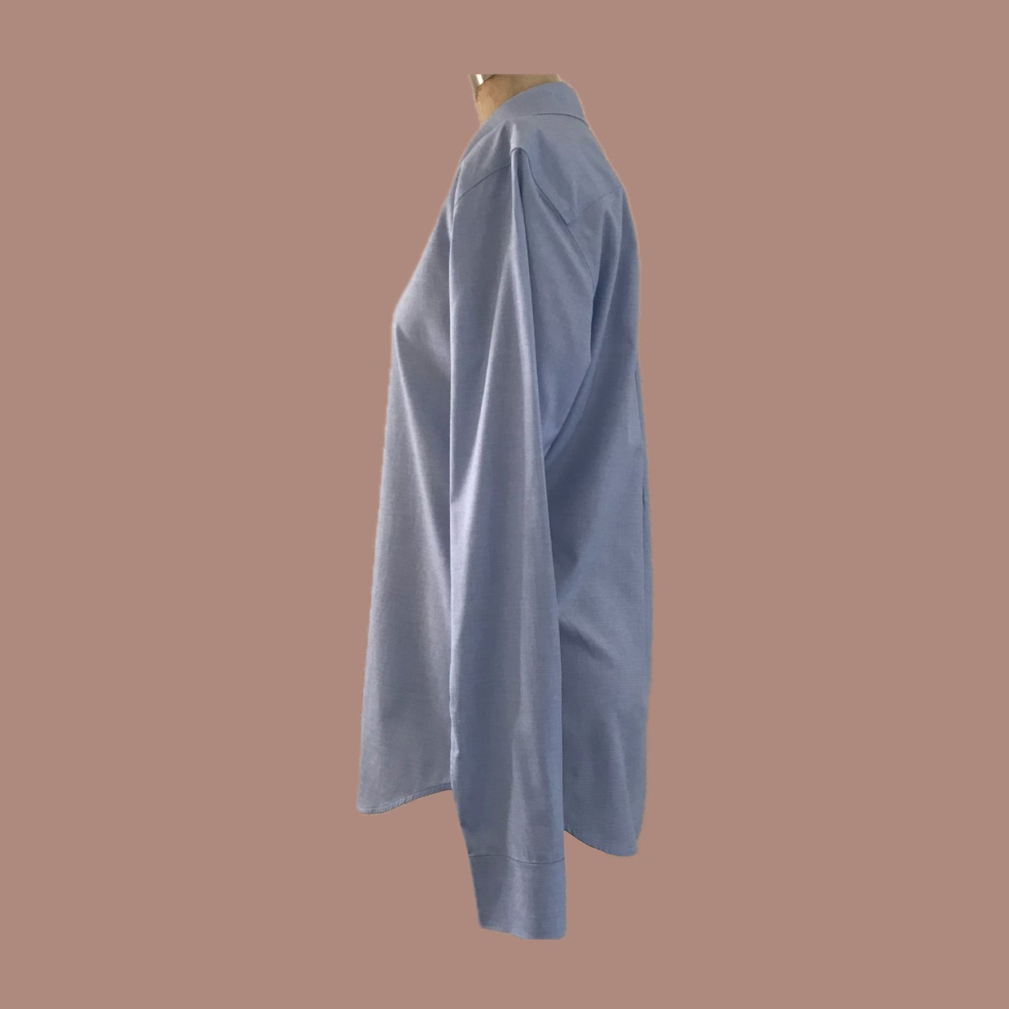 everlane-blue-cotton-poplin-boyfriend-shirt