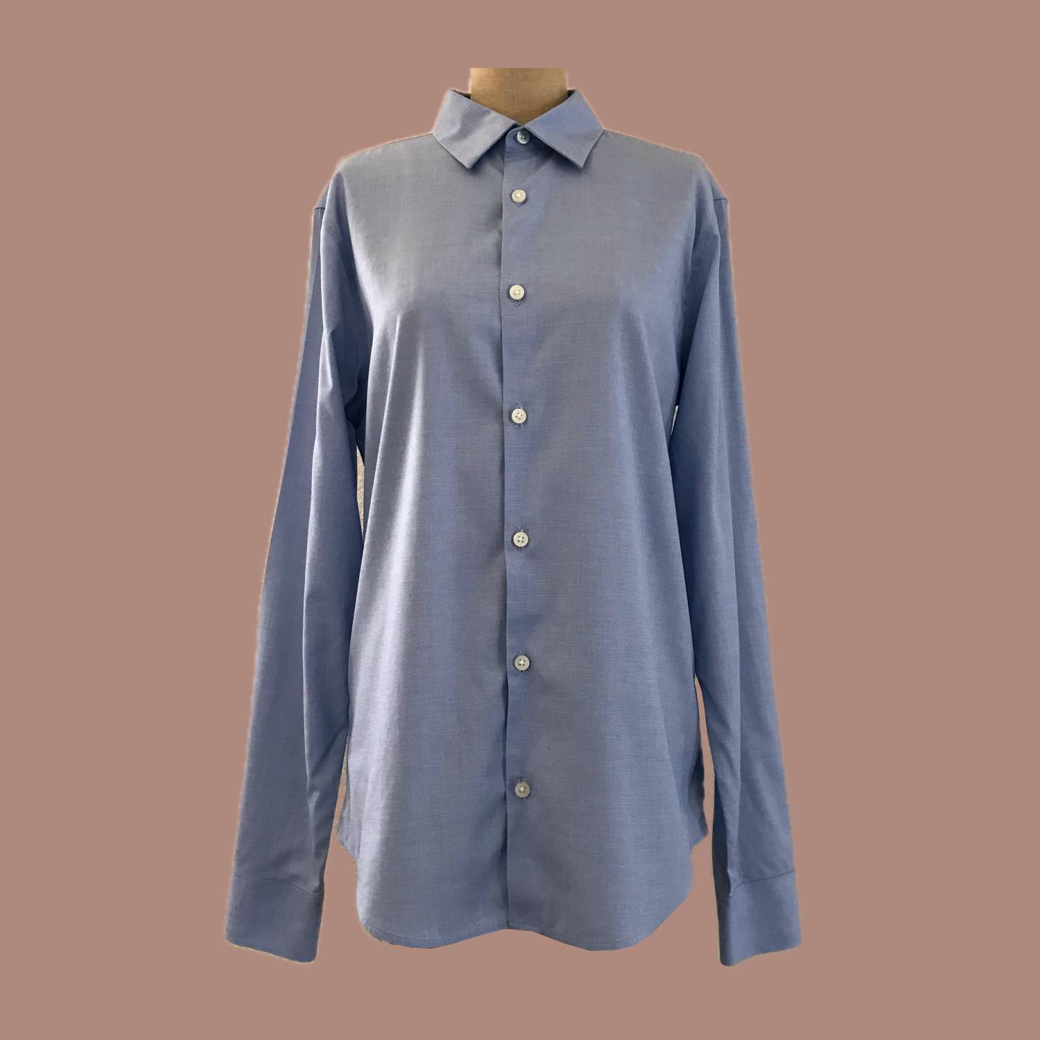 everlane-blue-cotton-poplin-boyfriend-shirt